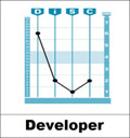 DiSC® Developer Pattern