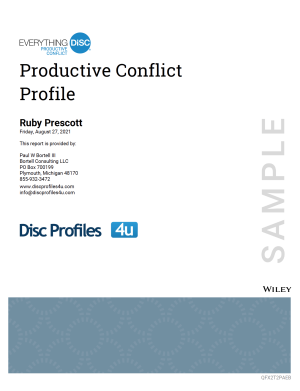 Productive Conflict Profile