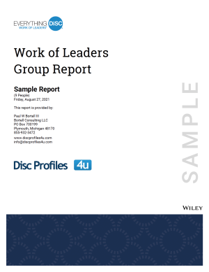Work of Leaders Group Report
